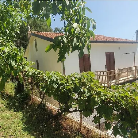 Tenuta Degli Ulivi *