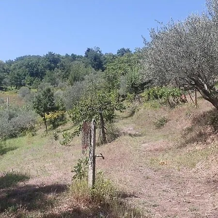 Tenuta Degli Ulivi Apartment *